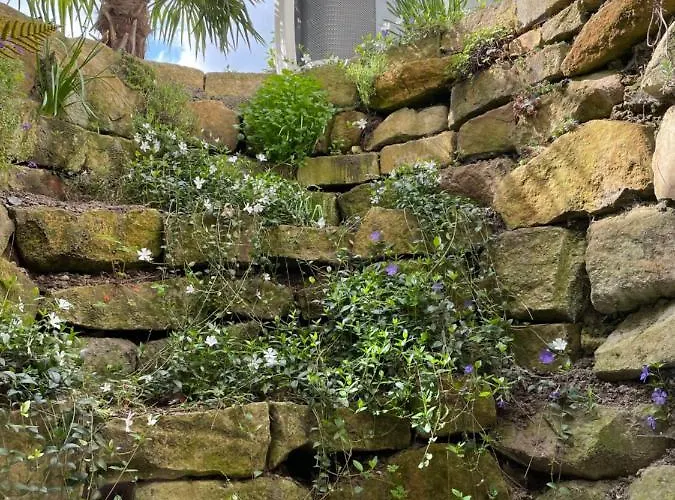 Daire Hilla's Bay Munster (North Rhine-Westphalia)